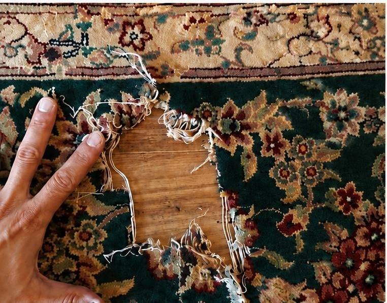 Trou traversant la bordure d’un tapis : velours, trame et chaîne disparus